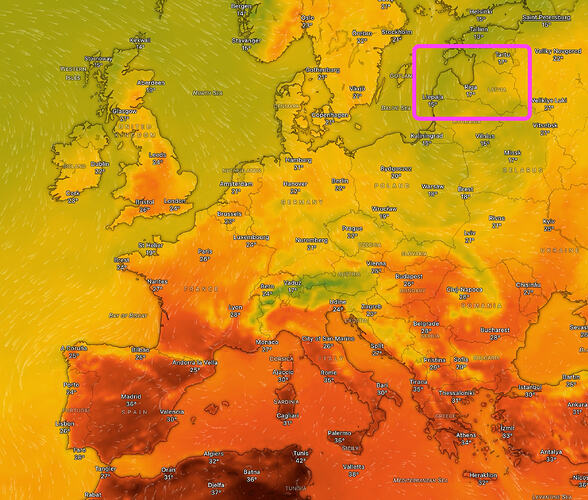 Screenshot 2026-07-21 at 17.02.10