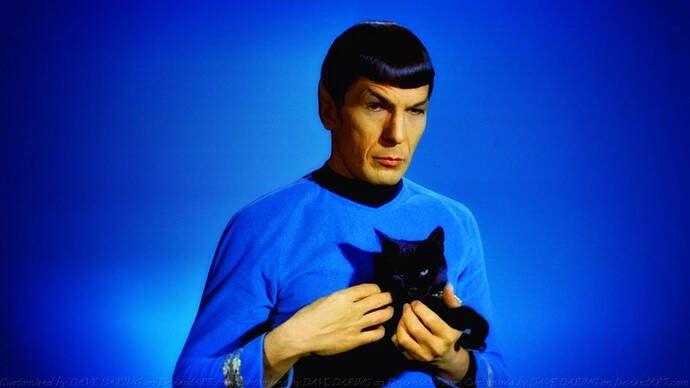 spock-with-black-cat-xsqr58zdk9uzsdmt