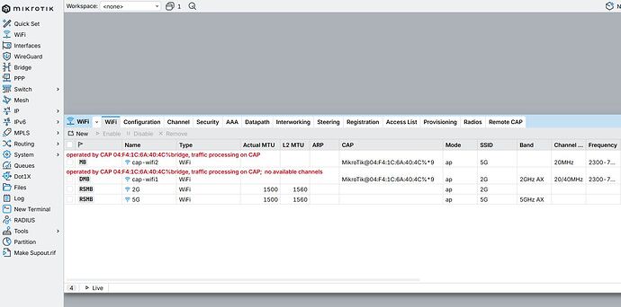 CAPSMAN Chateau Pro ax WinBox