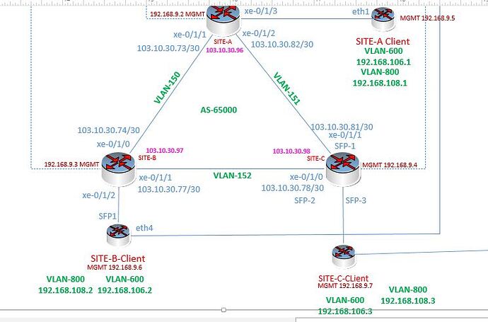 BGP_LDP VPLS Mikrotik_Juniper Test.JPG