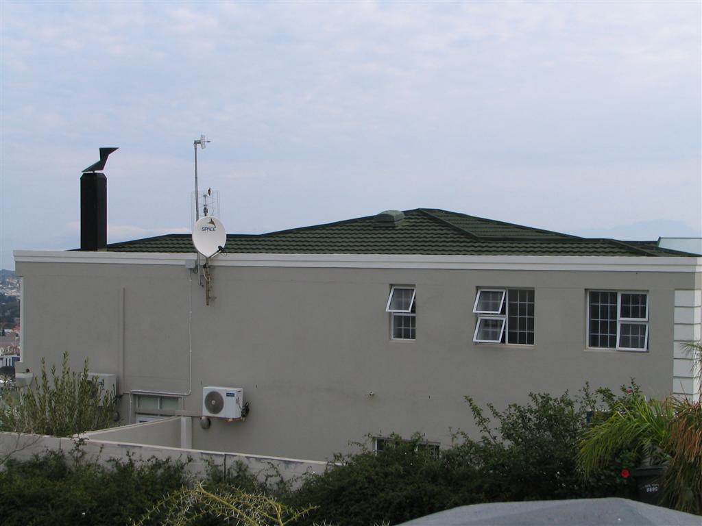 IMG_0262 (Large).JPG