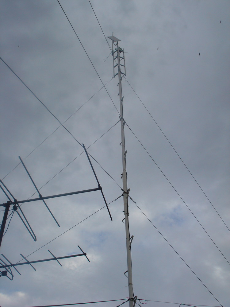 masts8.jpg