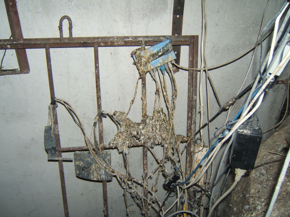 rack.jpg