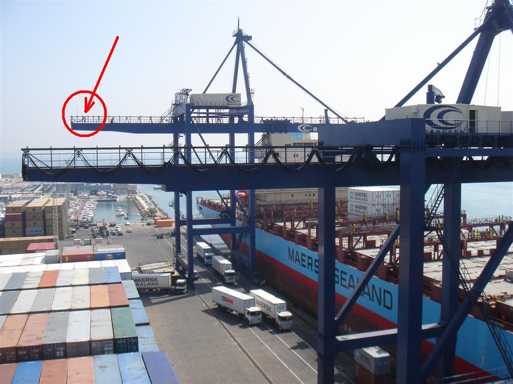 DSC06299 (Large).JPG