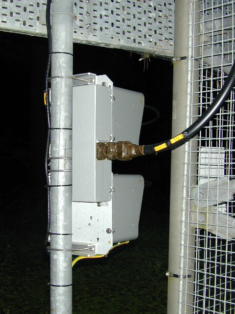 DSCN0462.jpg