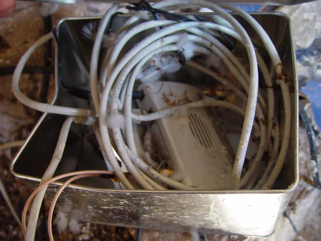 DSC00053 (Large).JPG