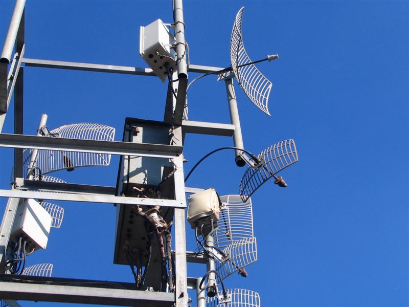 IMG_2527 (Medium).JPG