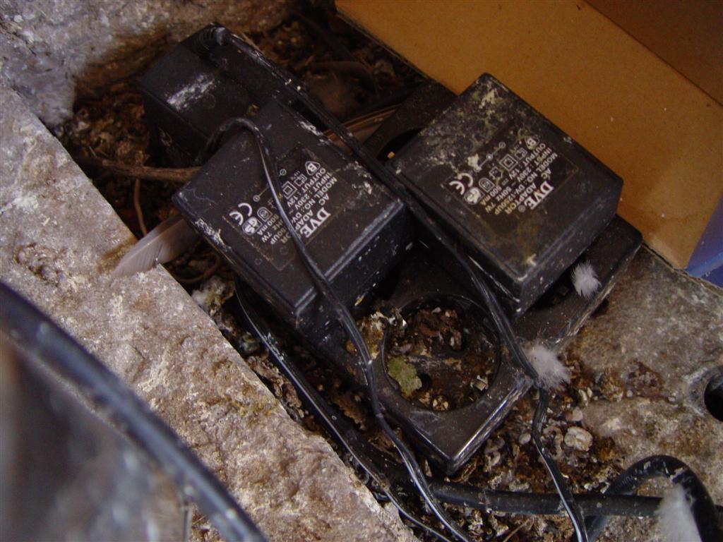 DSC00054 (Large).JPG