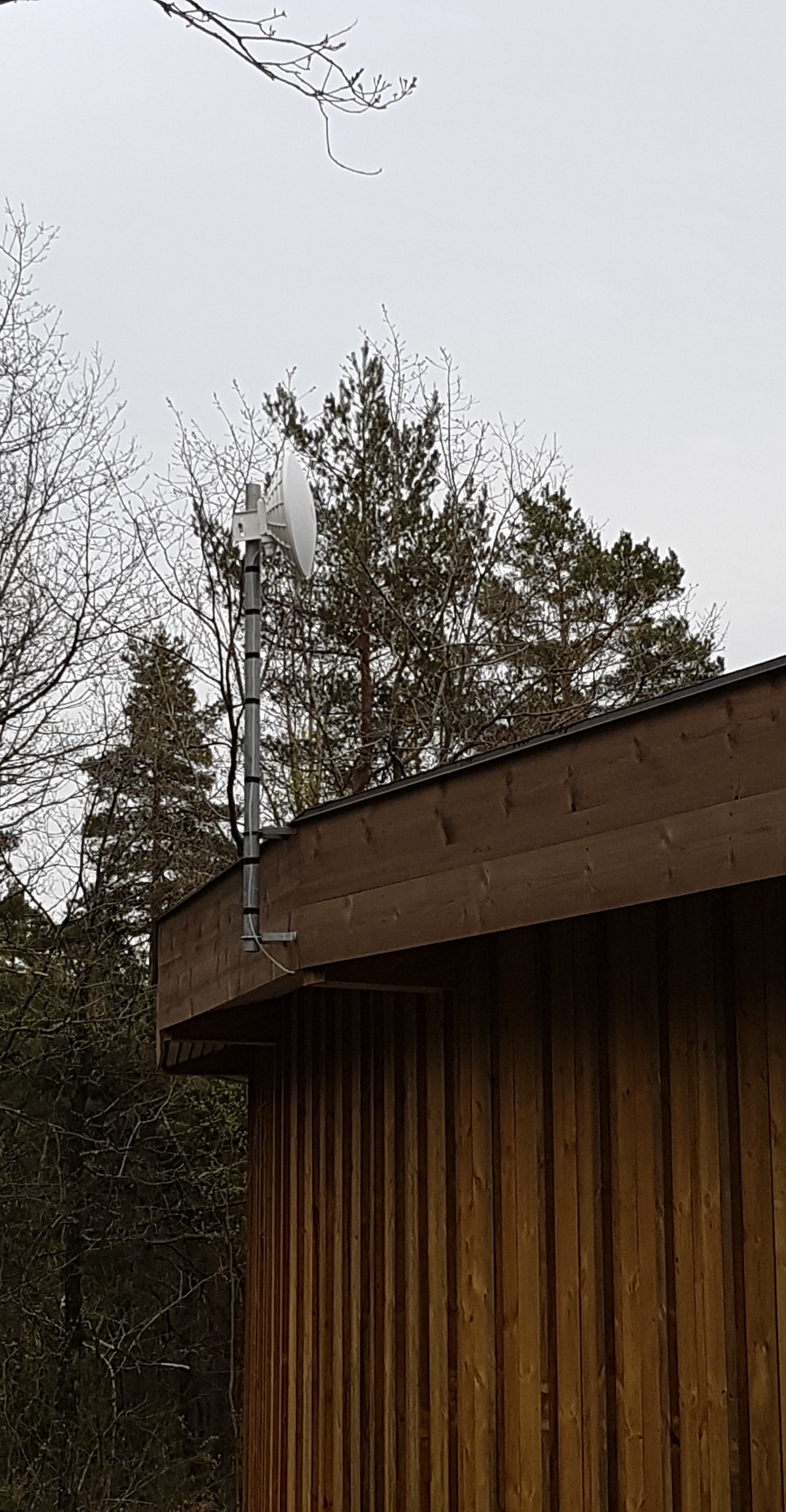 mast2.jpg