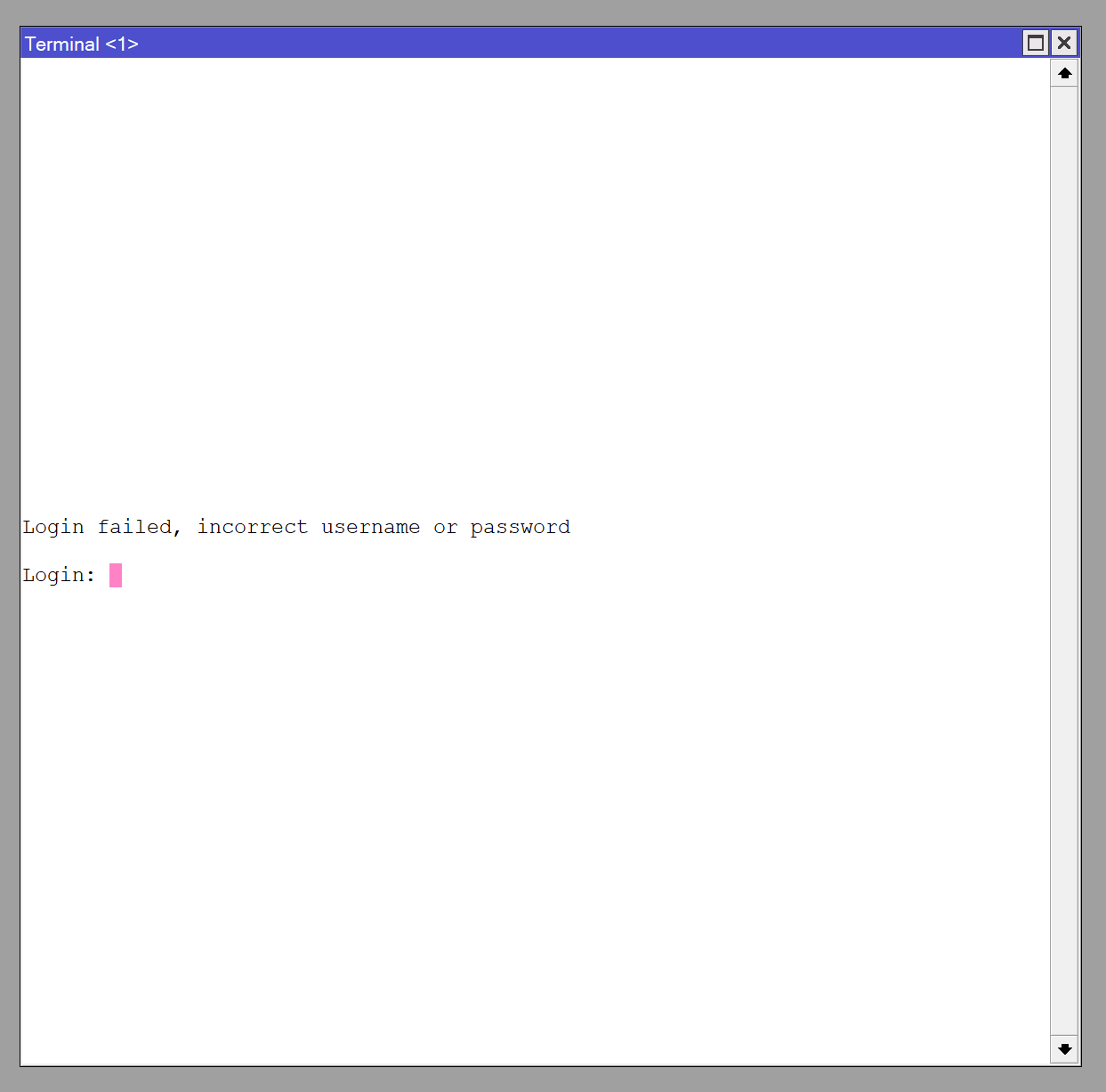 Terminal.PNG