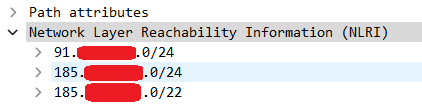 bgp.png