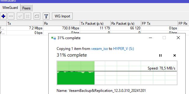 Wireguard.JPG