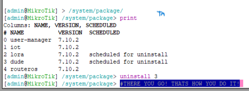 Mikrotik-Package-Remove-HowToDoIt.png