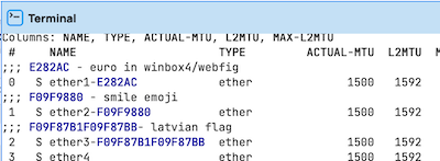 UTF8inInterfaceUsingWinBox4Terminal.png