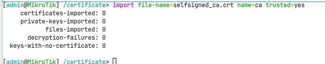 RouterOS selfsigned import.png