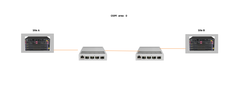 ospf vlan100.png