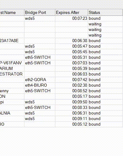 WDS-BRIDGE.gif