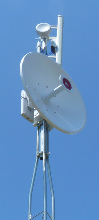 P1000689.JPG