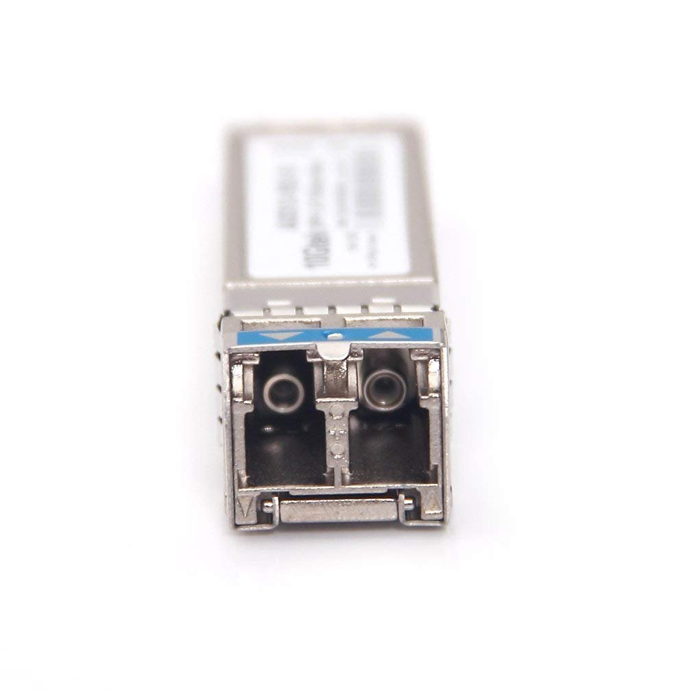 51Fd47SDvRL.SL1008.jpg