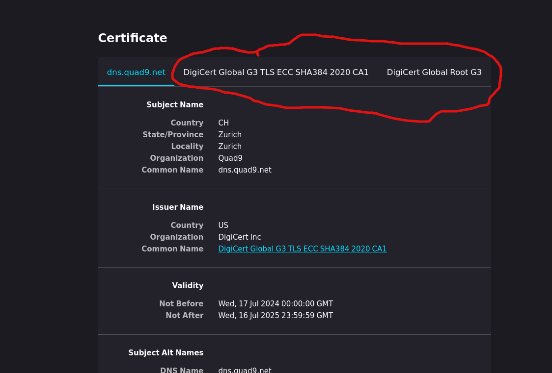 Screenshot 2024-07-25 at 19-41-51 Certificate for dns.quad9.net.png