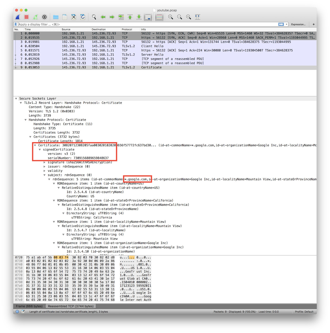 youtube-cert-pcap.png