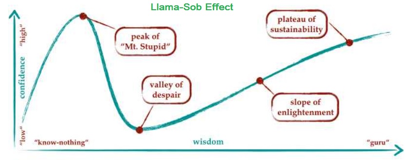 effect.jpg