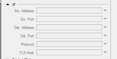 ip bridge filtrer.png