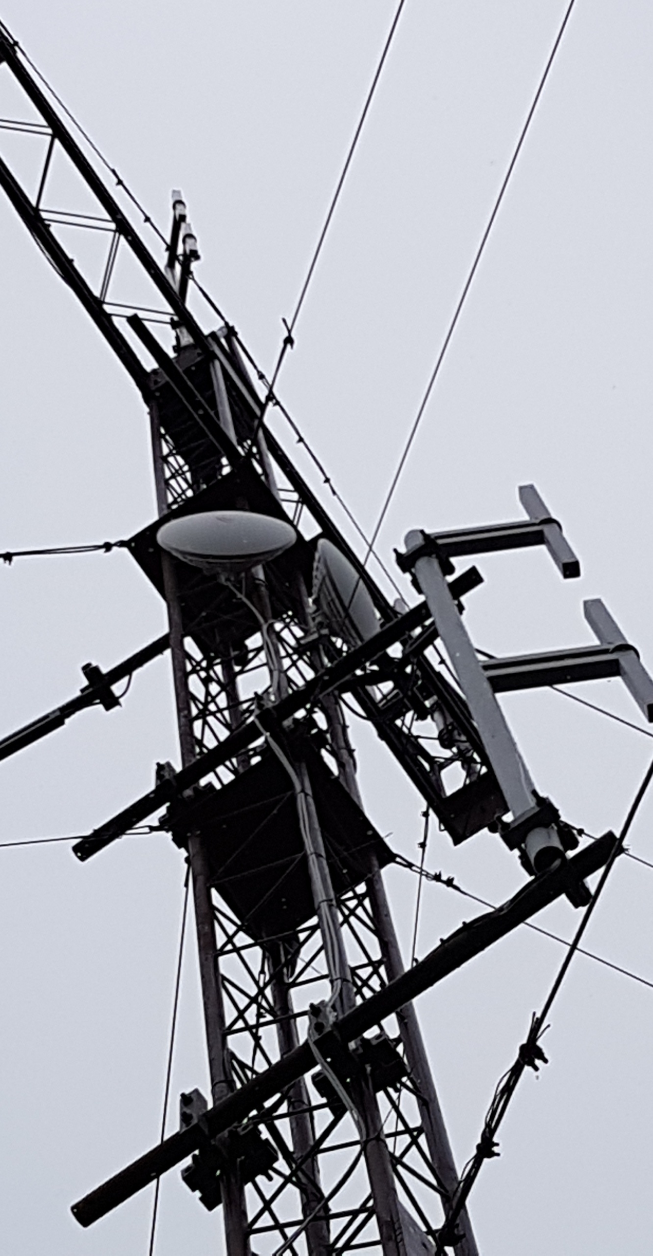 mast0.jpg