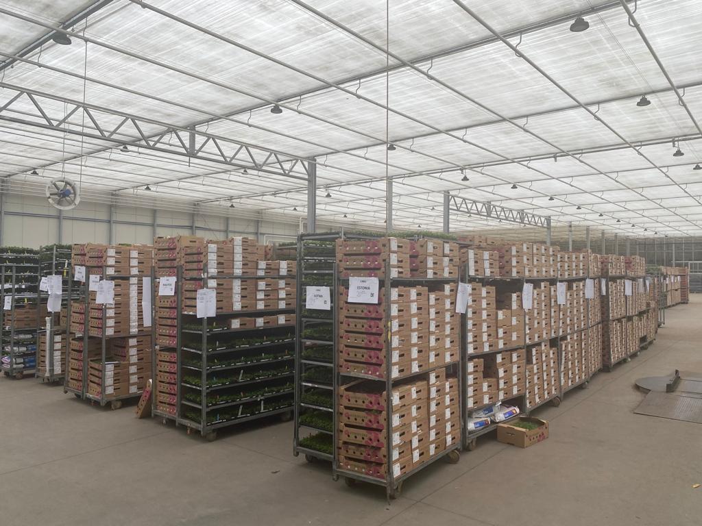 WhatsApp Image 2021-03-26 at 07.30.35 (2).jpeg