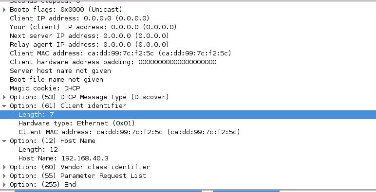 dhcp-discover.JPG