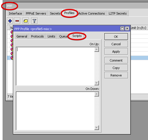 PPP-profile-Scripts.jpg