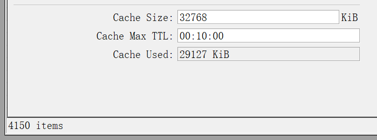dns-cache.png