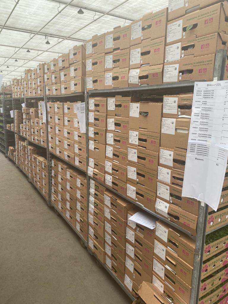 WhatsApp Image 2021-03-26 at 07.30.34 (1).jpeg