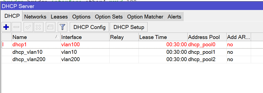 dhcp1_vlan100.png