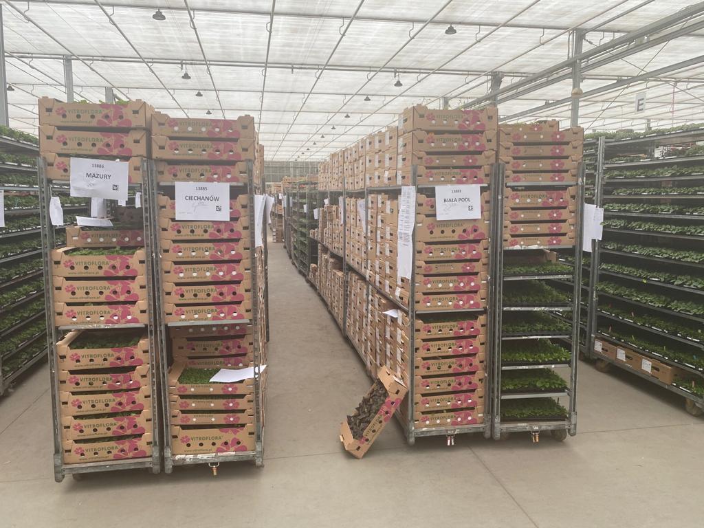 WhatsApp Image 2021-03-26 at 07.30.34 (2).jpeg