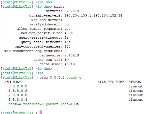 DNS ping.JPG
