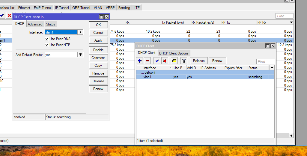 dhcp1.png