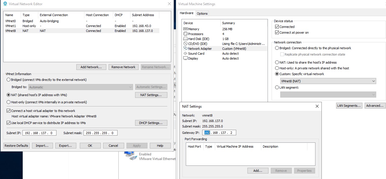 Vmware settings.jpg