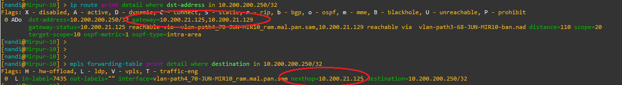 mpls forwarding issue.png