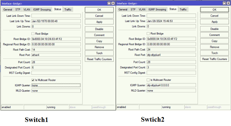 IGMP_multicast_querier.png