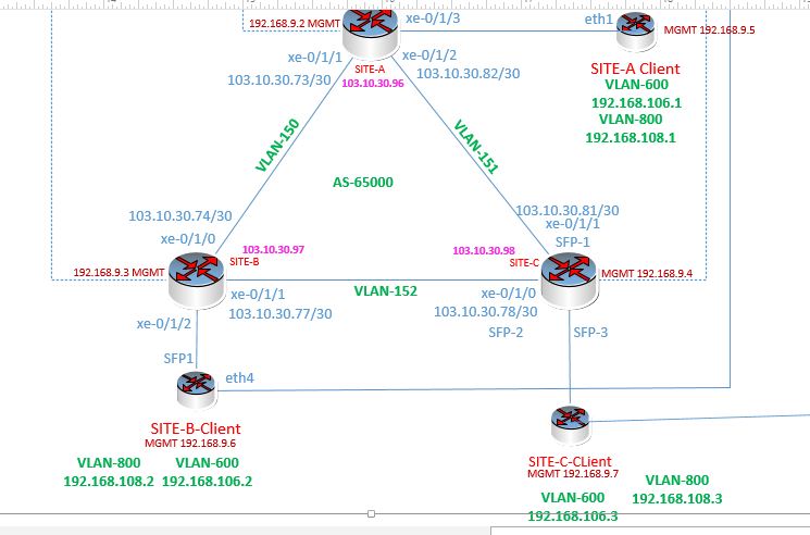 BGP_LDP VPLS Mikrotik_Juniper Test.JPG
