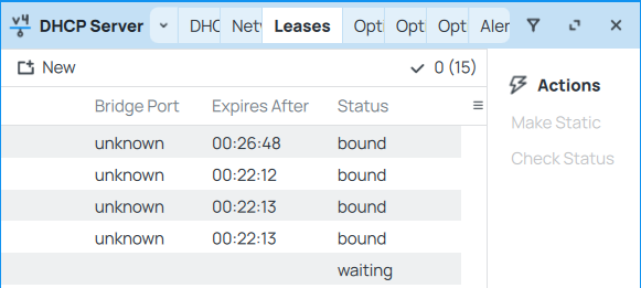 Leases 1.png