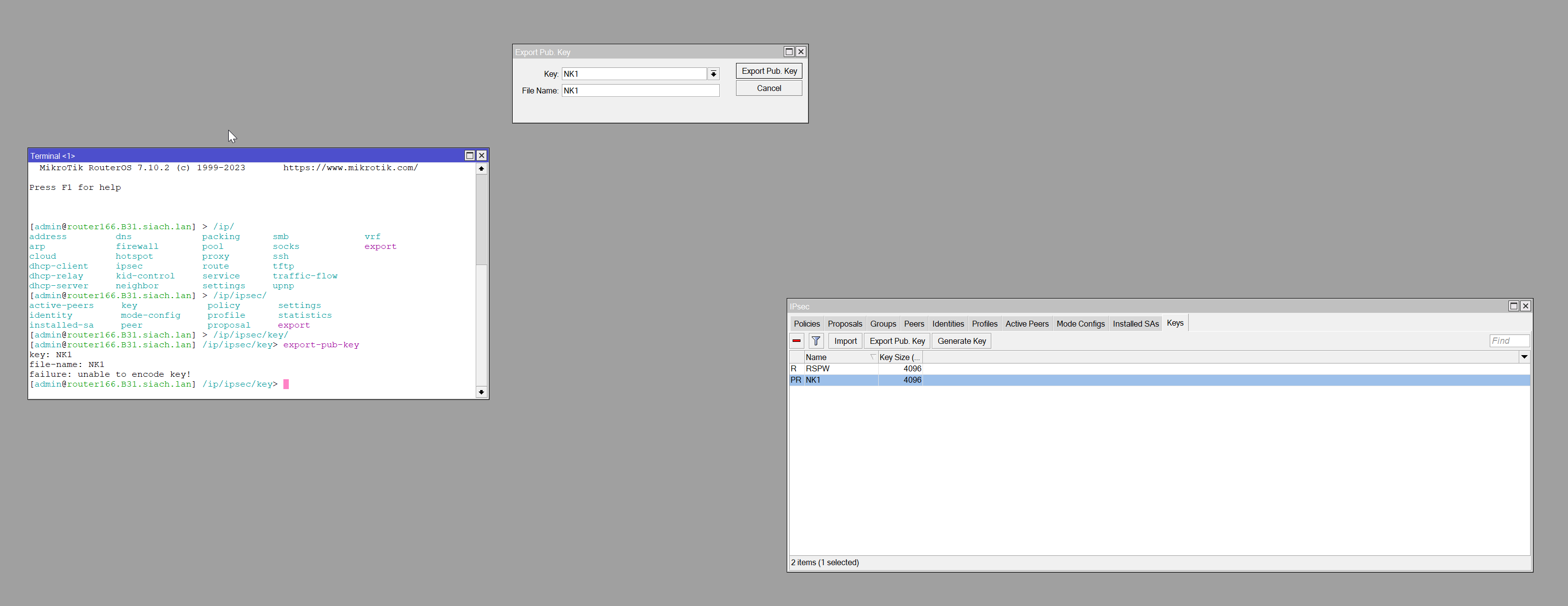 2023-07-24 09_48_44_WinBox (64bit) v7.10.2 on hEX S.png