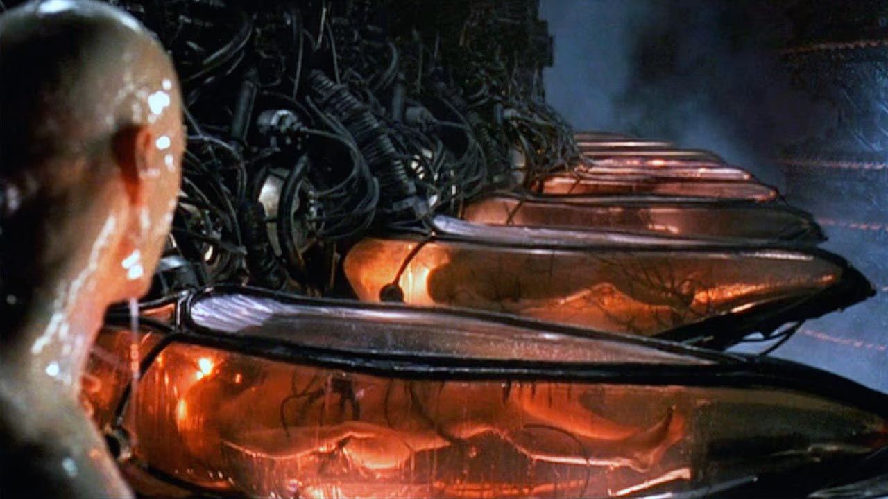 the_matrix_human_batteries.jpg