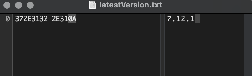latestVersion.txt.png