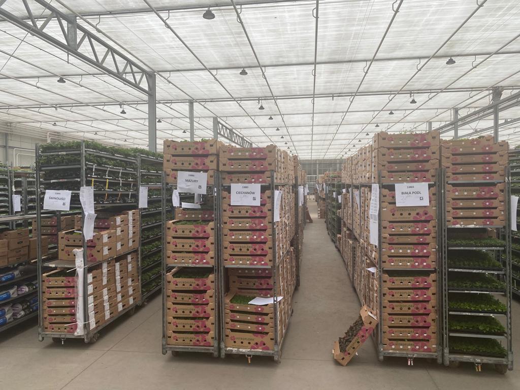 WhatsApp Image 2021-03-26 at 07.30.35 (3).jpeg